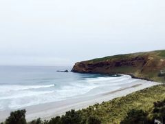 -豪拉基湾
