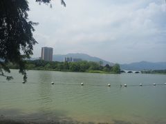 -飞来湖湿地公园