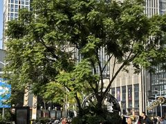 -龙湖重庆时代天街