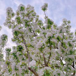 -大望京儿童游乐场
