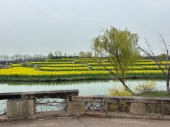 -乌村