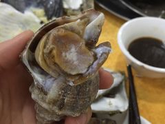 -蚝专家(北滘店)