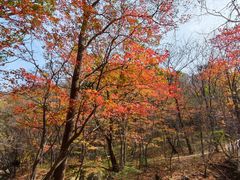 -本溪老边沟风景区