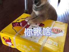 -汉堡王(西铁营万达店)