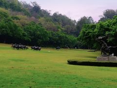 -广州雕塑公园