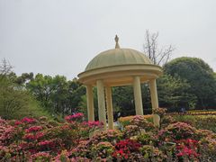 -南山植物园