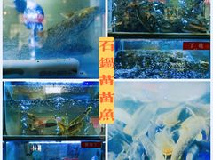 -石锅苗苗鱼(武汉首店)