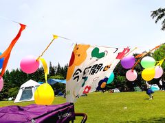 -上海滨江森林公园