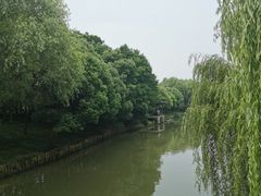 -尚贤河湿地
