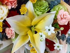 -ChaKo Flora ·茶子花艺 (市北店)