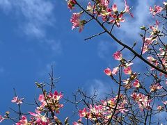 -文华公园(禅城区)