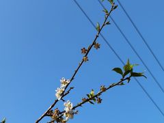 -福建天门山