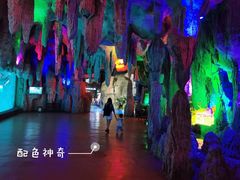 -泉城欧乐堡海洋极地世界