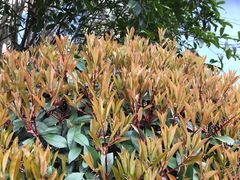 -苏州河梦清园环保主题公园