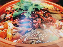 川式毛血旺-粥六•新晋菜(柳巷店)