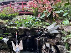 -观澜山水田园