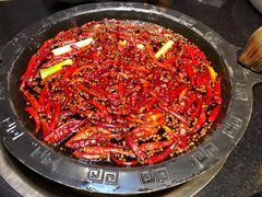 红油锅底-渝大狮毛肚老火锅(普陀店)