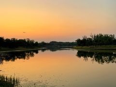 -东郊湿地公园