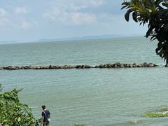 -巢湖姥山岛
