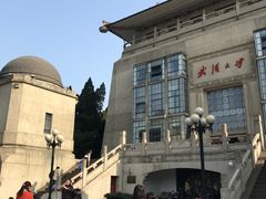-武汉大学-樱园
