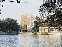 -荔湾湖公园