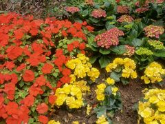 -沙河粉村·国家非遗传承(云台店)