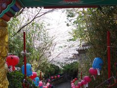 -海东龙宫寺