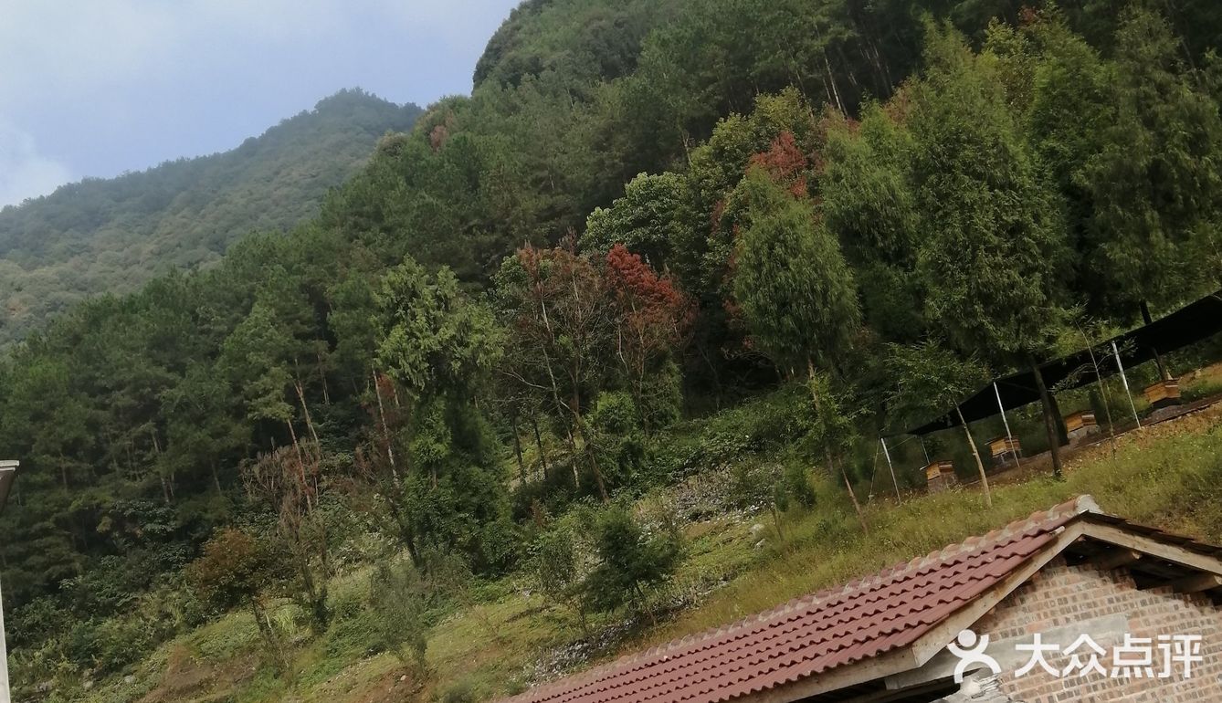 山清水秀的地方
