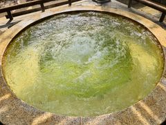 -春晖园度假酒店温泉