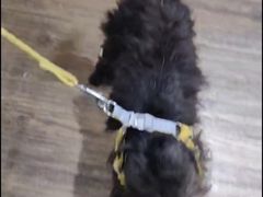 -中农大我爱我爱24h动物医院·中医针灸·猫专科·骨科医疗中心(双井店)