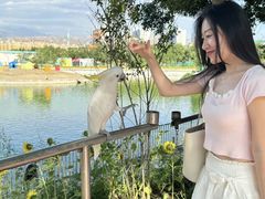 -水上乐园·欢乐世界