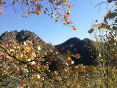 -大岭沟猕猴桃谷风景区