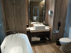 -常州环球恐龙城维景国际大酒店