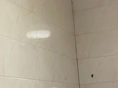 -销魂美蛙鱼头火锅(上海首店)