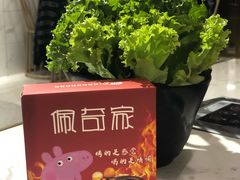 -佩奇家涮烤
