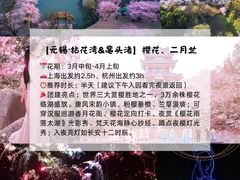 -上海山野camping·户外天幕烧烤·团建拓展营地
