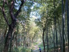 -采石矶景区