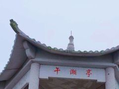 -午潮山国家森林公园