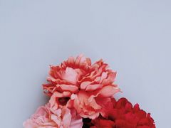 -樱蘭·影院足道·养生SPA(三里屯店)