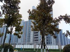 -皇粮浜湿地公园