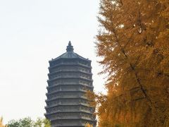 -玲珑塔公园