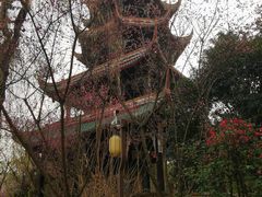 -望江楼公园
