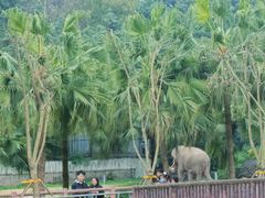 -重庆动物园·东二门售票处