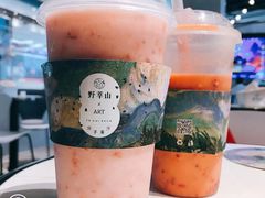 -野萃山·潮汕厚果汁(十亩地店)