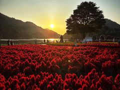 -广州市石门国家森林公园