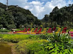 -广州市石门国家森林公园