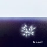 适度拟真｜贾志恒的视觉景观💚☘️