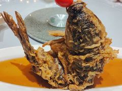 糖醋黄金鲤鱼-老牌坊鲁菜名店(聊城美食岛店)