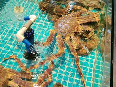 -即墨印象