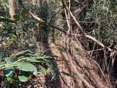 -东钱湖旅游度假区